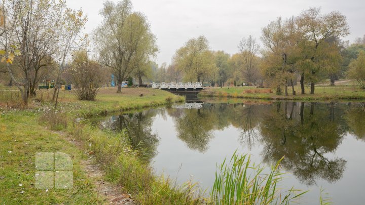 O nouă atracţie turistică la Grădina Botanică. A fost dat startul lucrărilor pentru amenajarea Insulei lalelelor