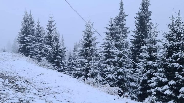 IARNA şi-a intrat în drepturi peste Prut. La munte NINGE ca în poveşti (FOTO)