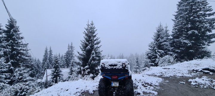 IARNA şi-a intrat în drepturi peste Prut. La munte NINGE ca în poveşti (FOTO)