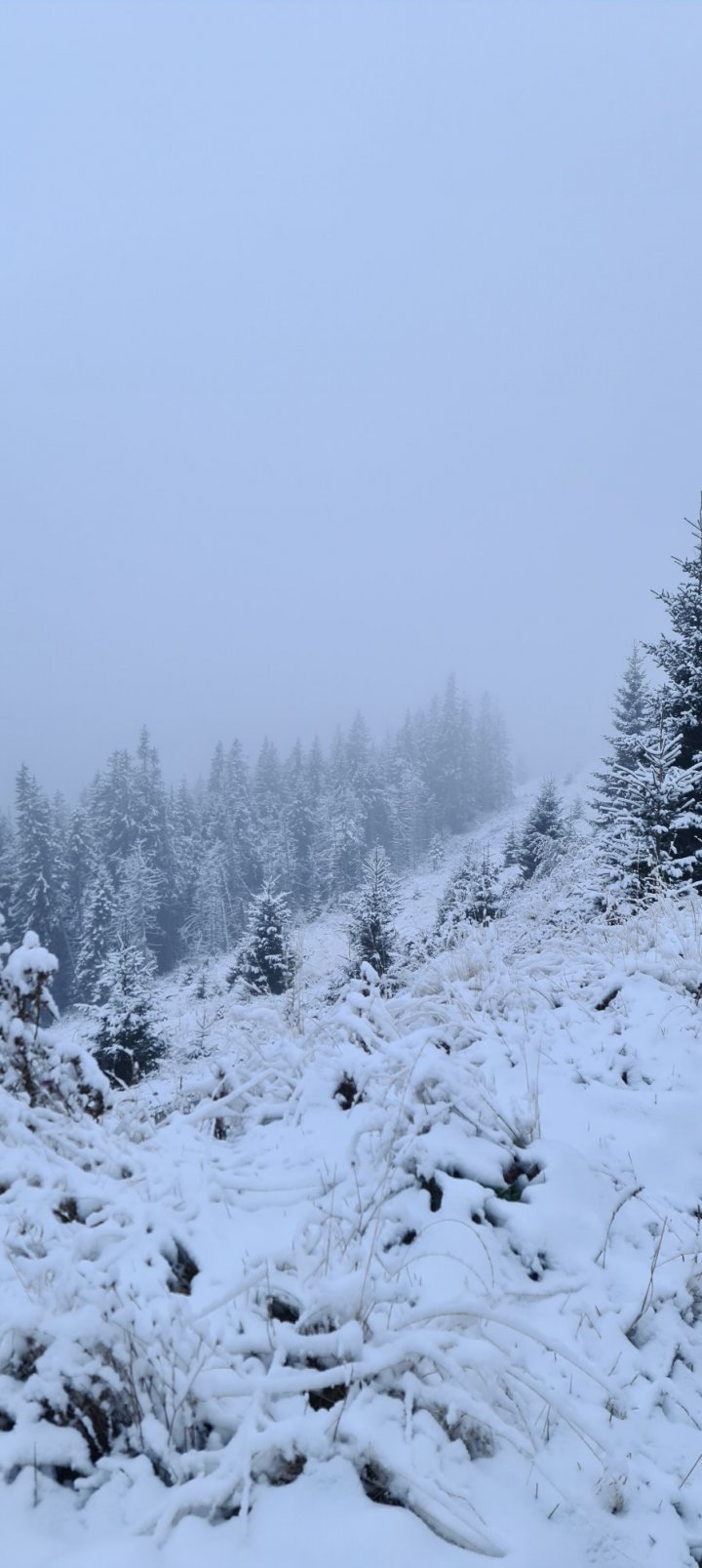 IARNA şi-a intrat în drepturi peste Prut. La munte NINGE ca în poveşti (FOTO)