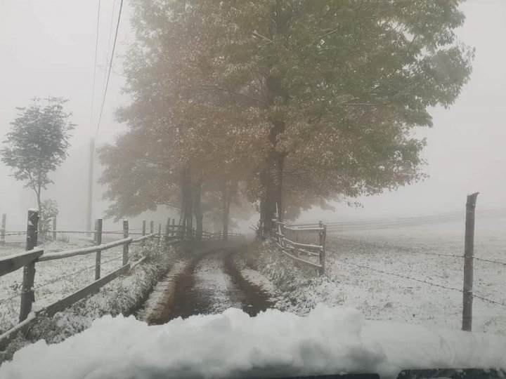 IARNA şi-a intrat în drepturi peste Prut. La munte NINGE ca în poveşti (FOTO)