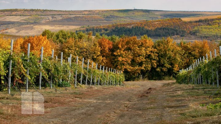 METEO. Vreme frumoasă şi cer variabil în toată ţara. Câte grade vor indica termometrele