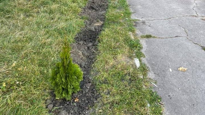 Un teren din preajma Primăriei Florești, VANDALIZAT. Rău-făcătorii au furat 15 tui și au deteriorat peste 30 de felinare (FOTO)