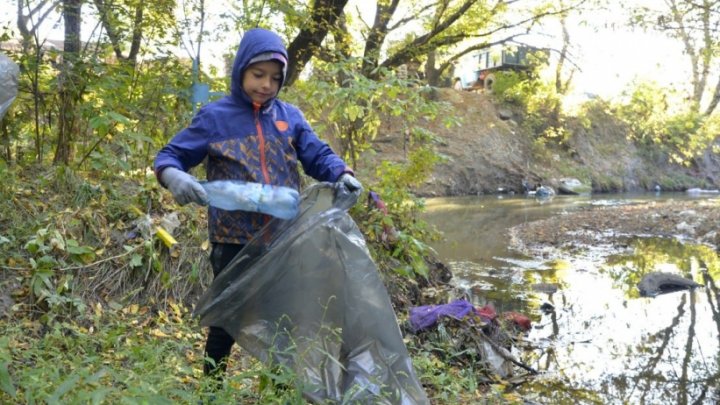 O nouă acţiune de salubrizare a albiei râului Bâc. Sute de saci cu deșeuri adunați 