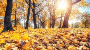 METEO: Cer variabil în toată țara. Câte grade vor indica termometrele astăzi, 11 noiembrie