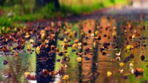 METEO. Ploi în nordul țării, în centrul şi sudul ţării cerul va fi variabil. Câte grade vor indica termometrele 