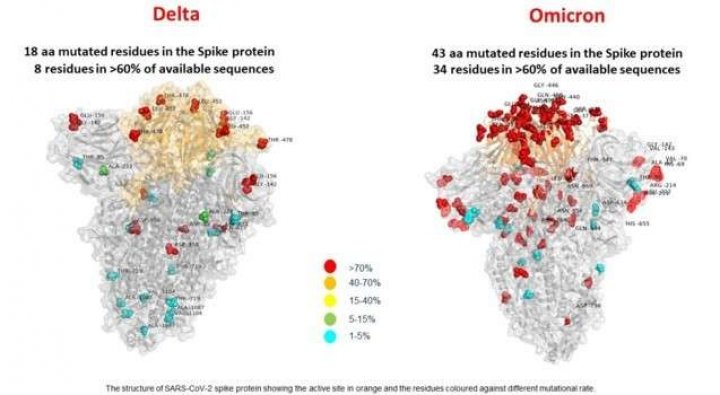 Prima imagine a variantei Omicron evidenţiază numărul semnificativ mai mare de mutaţii comparativ cu Delta