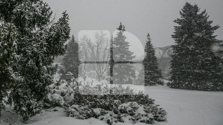 NINSORI ABUNDENTE peste Prut. Meteorologii au emis Cod Portocaliu şi Galben