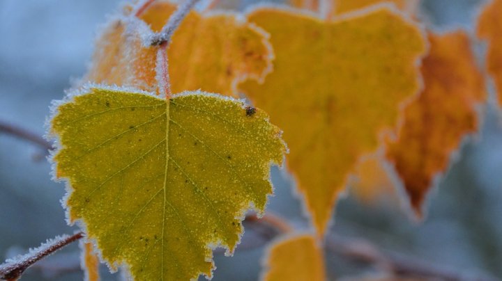 METEO: Vom avea cer variabil pe întreg teritoriul țării