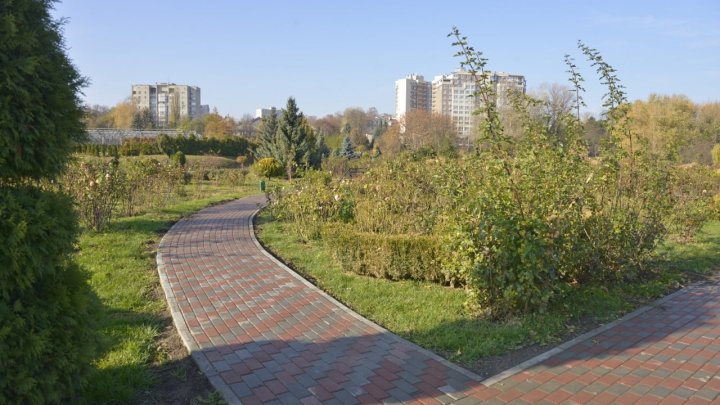 Parcul Dendrariu din Capitală are o nouă intrare pentru vizitatori. Vezi cum arată (FOTO)