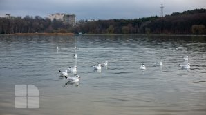 Vreme instabilă în toată ţara. Câte grade se vor înregistra duminică