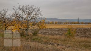 METEO 3 decembrie: Cer variabil pe întreg teritoriul ţării. Câte grade vor indica termometrele