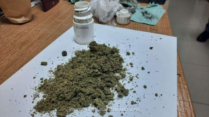 Moldovean, prins cu marijuană de poliţiştii de frontieră din România. "Am crescut cânepa în ghveci, pentru consum propriu"