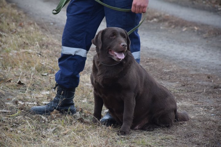 Peste 300 de salvatori și pompieri, ridicați pe alertă în această dimineață (VIDEO/FOTO)