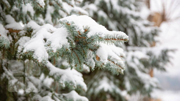 Vin NINSORILE. Meteorologii au emis Cod Galben de condiții complicate ale vremii