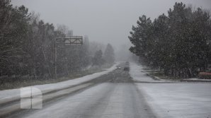 Meteorologii anunță ninsori pe întreg teritoriul țării, în următoarele 24 de ore