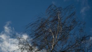 Meteorologii au emis avertizare COD GALBEN, valabilă pe întreg teritoriul țării