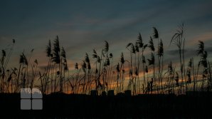 METEO. Luni, în nordul țării cerul va fi variabil, iar în centru și sud va cădea lapoviță. Câte grade vor fi în termometre