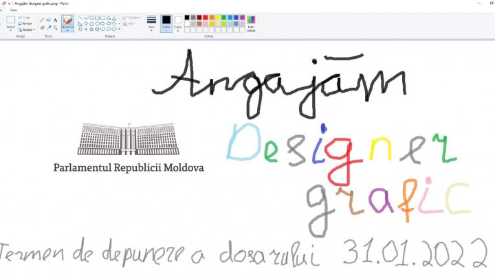 Culmea creativităţii la Parlament. Vezi cum a fost prezentat un anunţ de angajare în funcţia de "designer grafic"