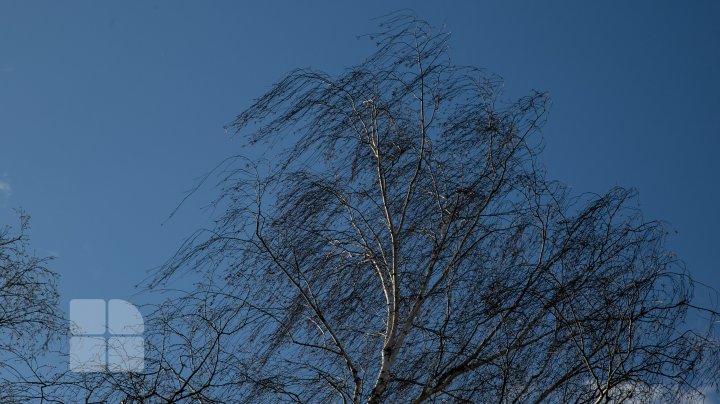 AVERTIZARE METEO: Cod Galben de vânt