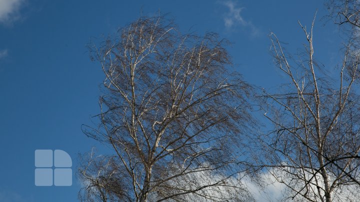 METEO: Rămâne în vigoare avertizarea cod galben de vând puternic pe întreg teritoriul ţării