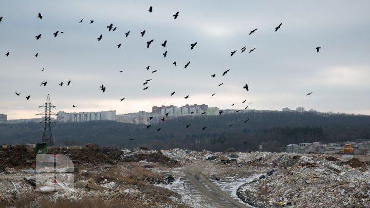 În câteva luni, în Chişinău ar putea fi amenajată o platformă pentru reciclarea deşeurilor din construcţie