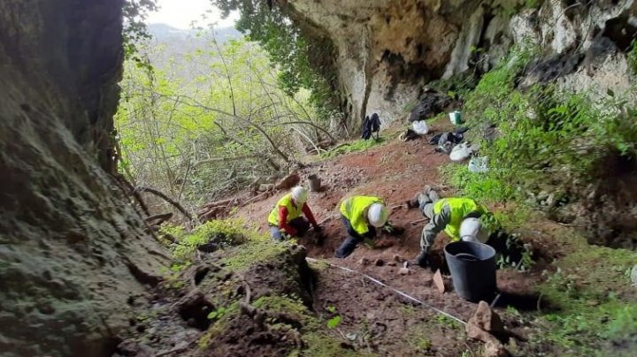 Un bursuc înfometat a condus arheologii către o comoară într-o peșteră din Spania