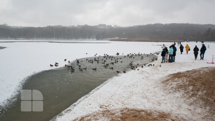 METEO. Precipitaţii sub formă de lapoviţă în nordul şi centrul ţării, iar la sud cerul va fi variabil. Câte grade vom avea