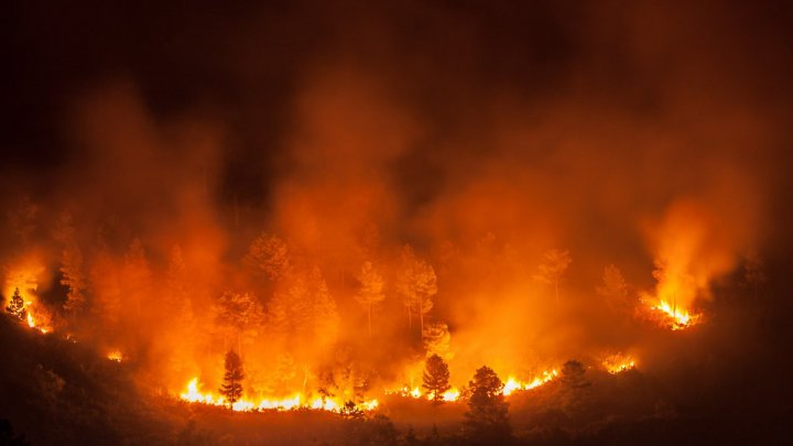 Portugalia, afectată în continuare de incendii de vegetaţie, a decretat stare de alertă