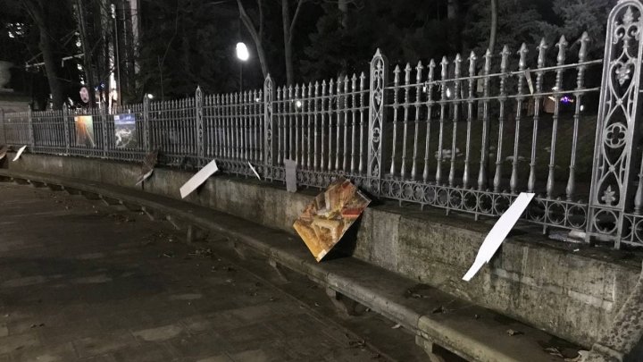 Vântul face ravagii în Capitală. Mai mulți copaci, doborâți (FOTO)