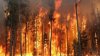 Locuinţe evacuate după izbucnirea unui incendiu de vegetaţie în California