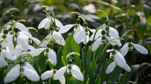 Cum va fi vremea în prima zi de primăvară şi ce temperaturi ne aşteaptă