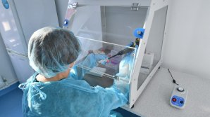 OMS AVERTIZEAZĂ: Un virus se răspândește, se adaptează și ar putea infecta mai ușor oamenii. Se face apel la guverne să protejeze populația