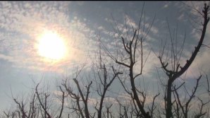 METEO. Vineri, 11 martie, vremea va fi rece. Câte grade vom avea în termometre