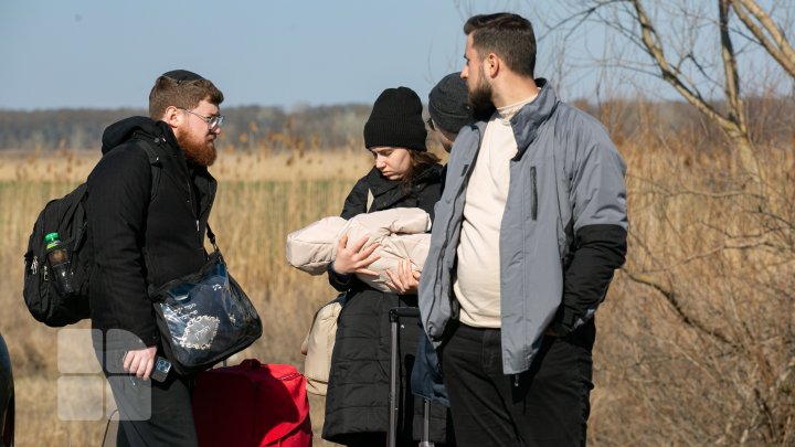 Vama Palanca, teritoriu al durerii şi disperării. Mii de ucraineni, nevoiţi să fugă de război (FOTO)