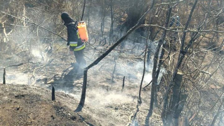 Peste treizeci de incendii de vegetație au fost stinse de pompieri în ultimele 24 de ore (FOTO, VIDEO)