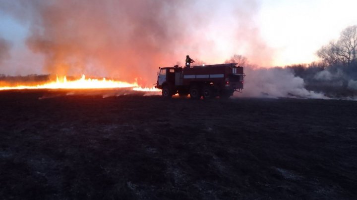 Peste treizeci de incendii de vegetație au fost stinse de pompieri în ultimele 24 de ore (FOTO, VIDEO)