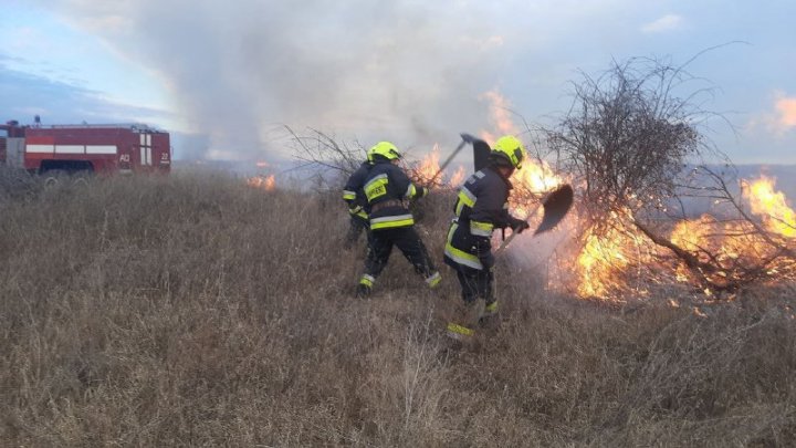 Peste treizeci de incendii de vegetație au fost stinse de pompieri în ultimele 24 de ore (FOTO, VIDEO)