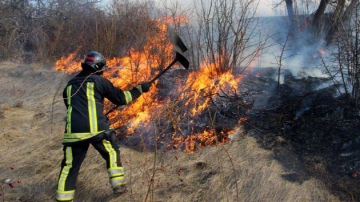 Pompierii fac apel la oameni să nu aprindă vegetația uscată. Iresponsabilitatea poate nimici flora și fauna țării