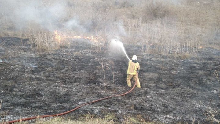 Teren din raionul Cahul, cuprins de flăcări (FOTO)