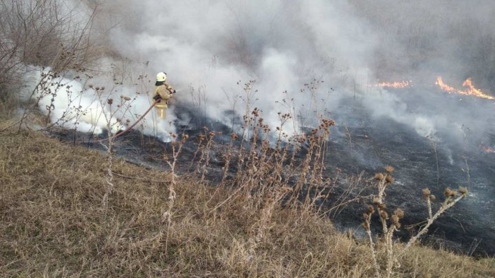 Teren din raionul Cahul, cuprins de flăcări (FOTO)