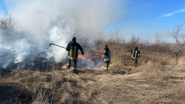 Mai multe hectare de vegetație au ars în apropiere de șoseaua Balcani din Capitală