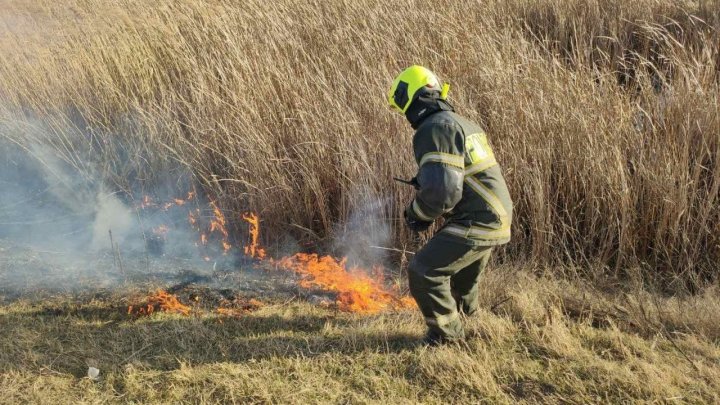 Peste 1000 de hectare de vegetație uscată au fost stinse de pompieri în ultimele 24 de ore (FOTO)