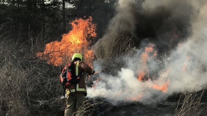 Peste 1000 de hectare de vegetație uscată au fost stinse de pompieri în ultimele 24 de ore (FOTO)