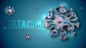 OMS: A părut o nouă variantă a noului coronavirus, DELTACRON. În ce țări s-a răspândit