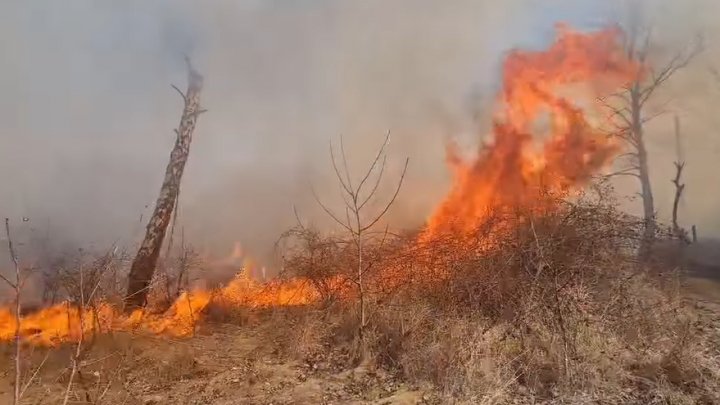 "Săriți în ajutor!" INCENDIU de vegetație de AMPLOARE la Ialoveni (VIDEO)