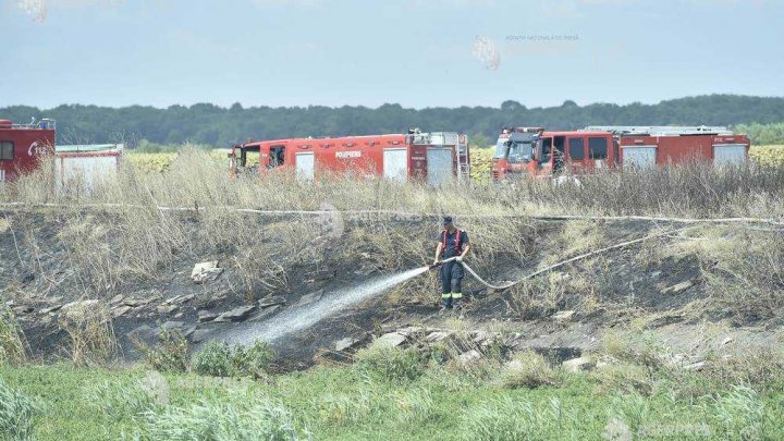 Prahova: Incendiu de vegetaţie în apropierea a 20 de vagoane cu benzină