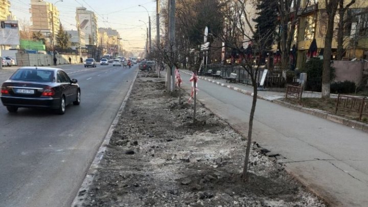 Primăria Capitalei: Trotuarele de pe o stradă din sectorul Râșcani vor fi reparate