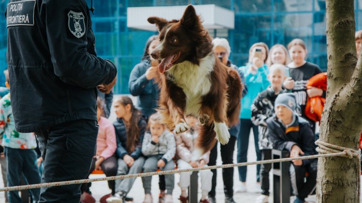 Distracție, zâmbete și dulciuri pentru copiii refugiați în Moldova. Câinele Poliției de Frontieră, Lachi i-a cucerit pe micuți (FOTO)