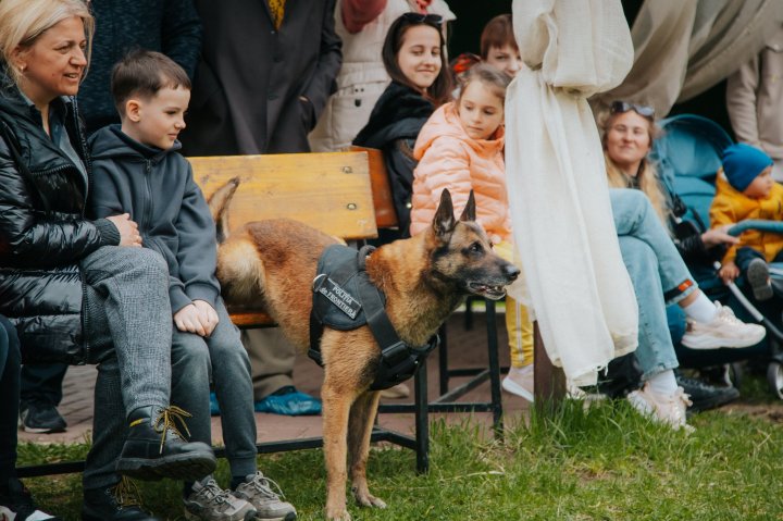 Distracție, zâmbete și dulciuri pentru copiii refugiați în Moldova. Câinele Poliției de Frontieră, Lachi i-a cucerit pe micuți (FOTO)